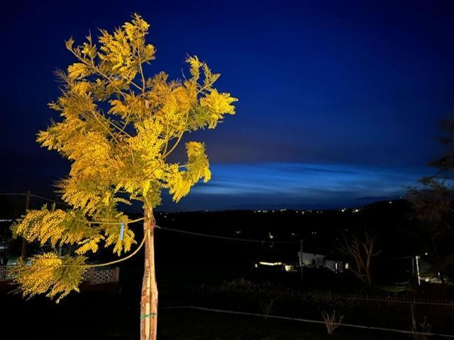 Ermitage La Suite-Hermitage Al Tramonto-Hermitage Tra Le Vigne Cioccaro Di Penango Dış mekan fotoğraf